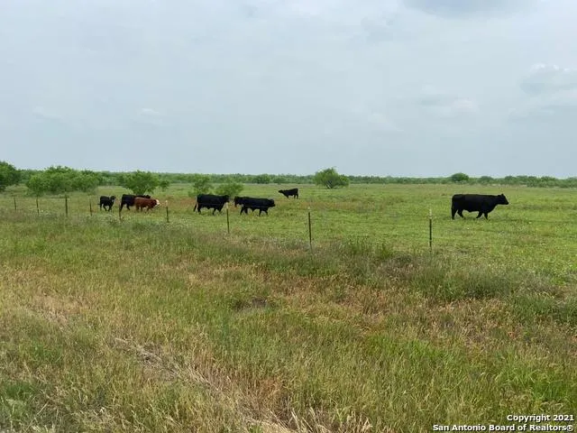 00 APPLEWHITE RD San Antonio, TX 78264