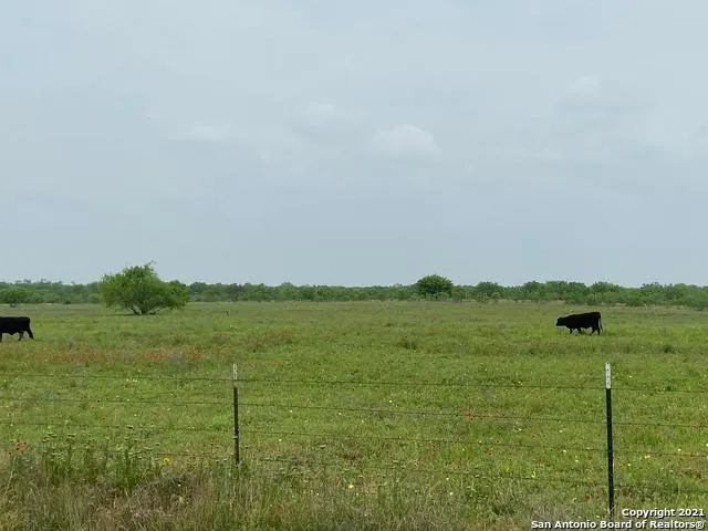 00 APPLEWHITE RD San Antonio, TX 78264