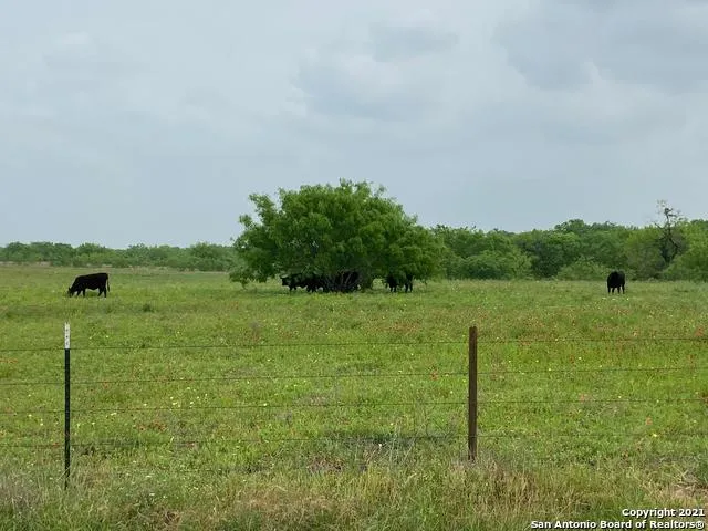 00 APPLEWHITE RD San Antonio, TX 78264