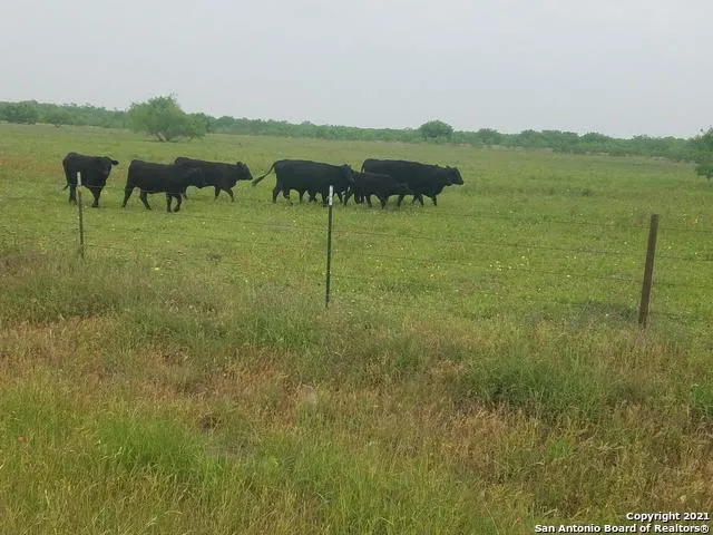00 APPLEWHITE RD San Antonio, TX 78264
