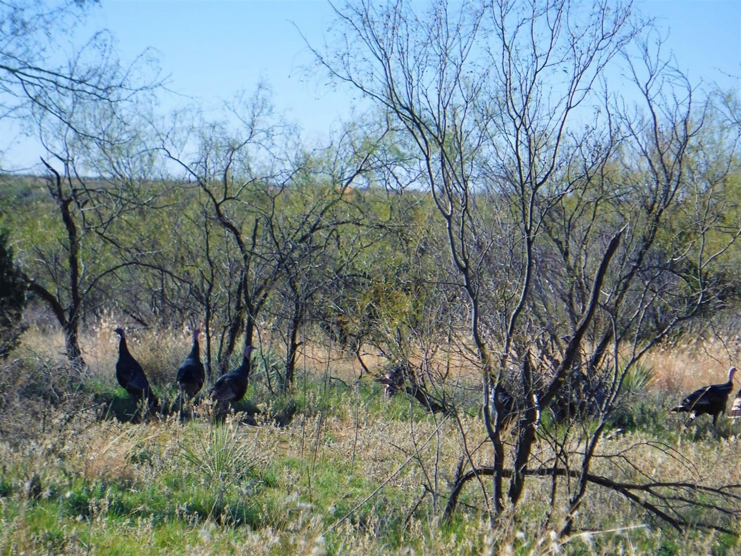 2301 County Road 355 Justiceburg, TX 79330