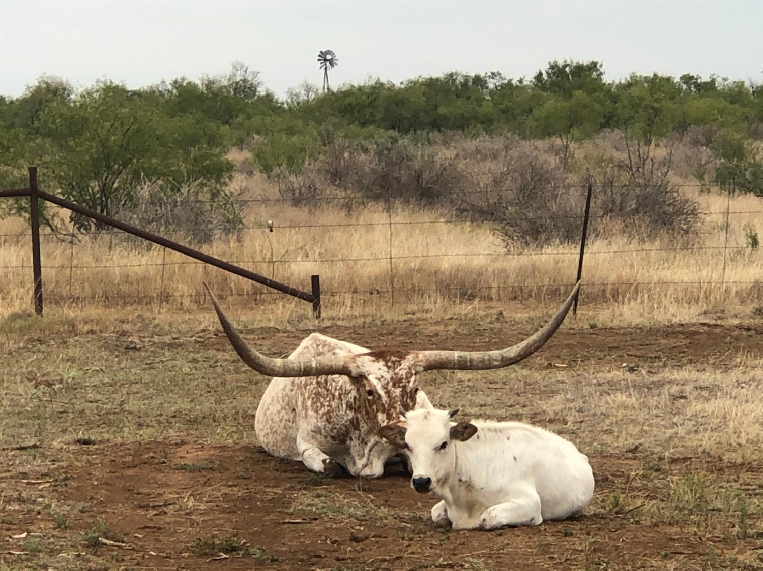 2301 County Road 355 Justiceburg, TX 79330