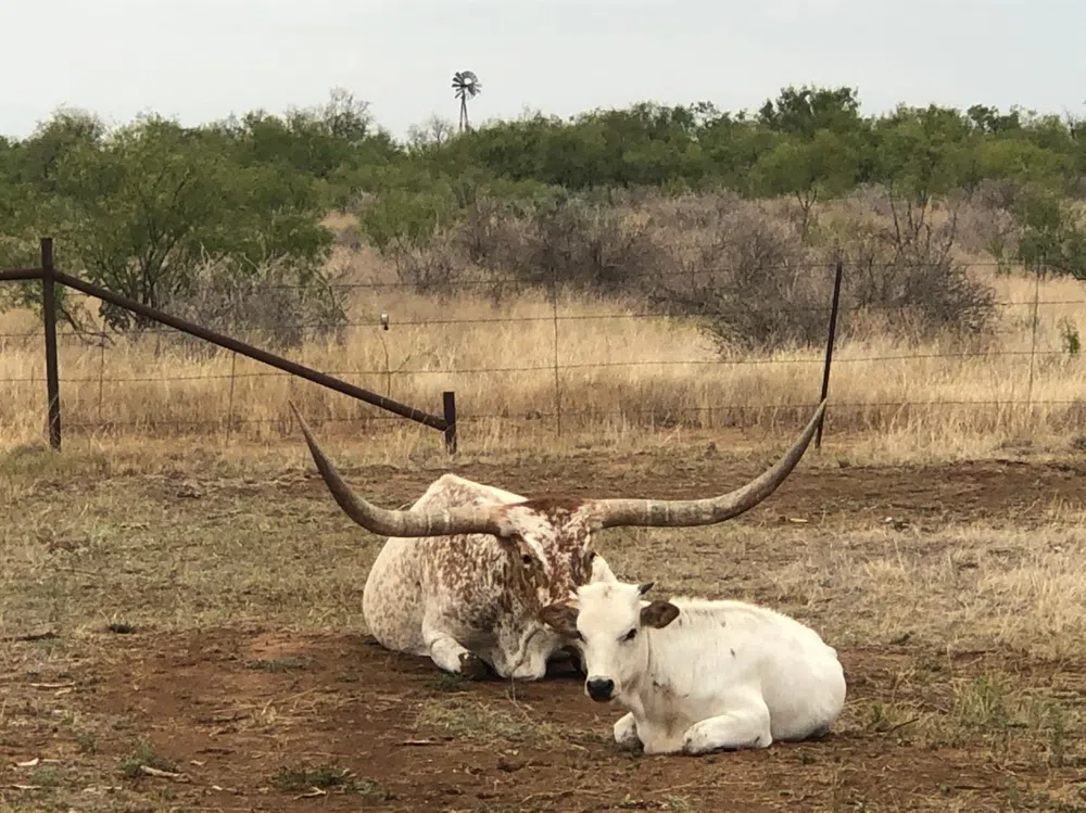 2301 County Road 355 Justiceburg, TX 79330