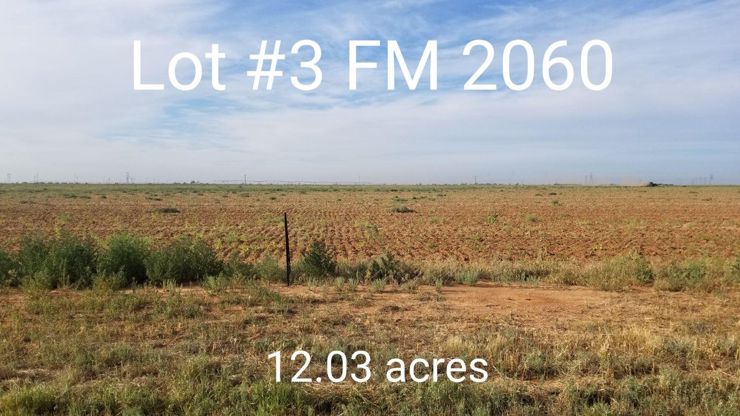 Farm Road 2060