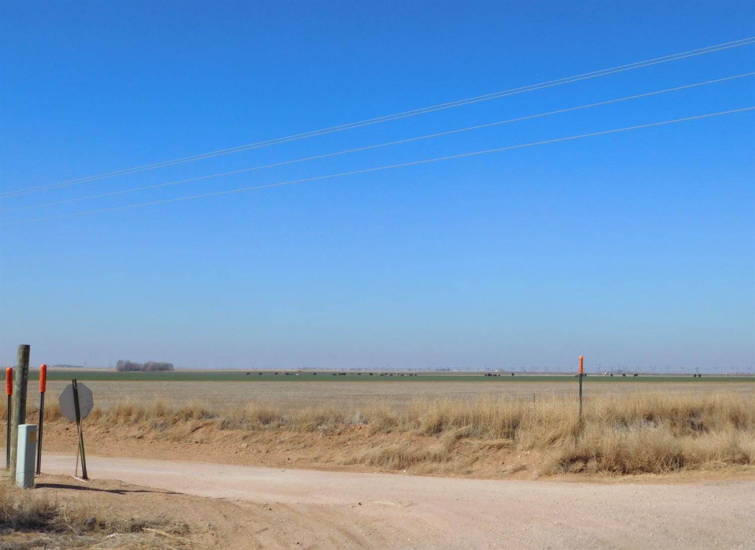 2070 County Road 1008 Muleshoe, TX 79347