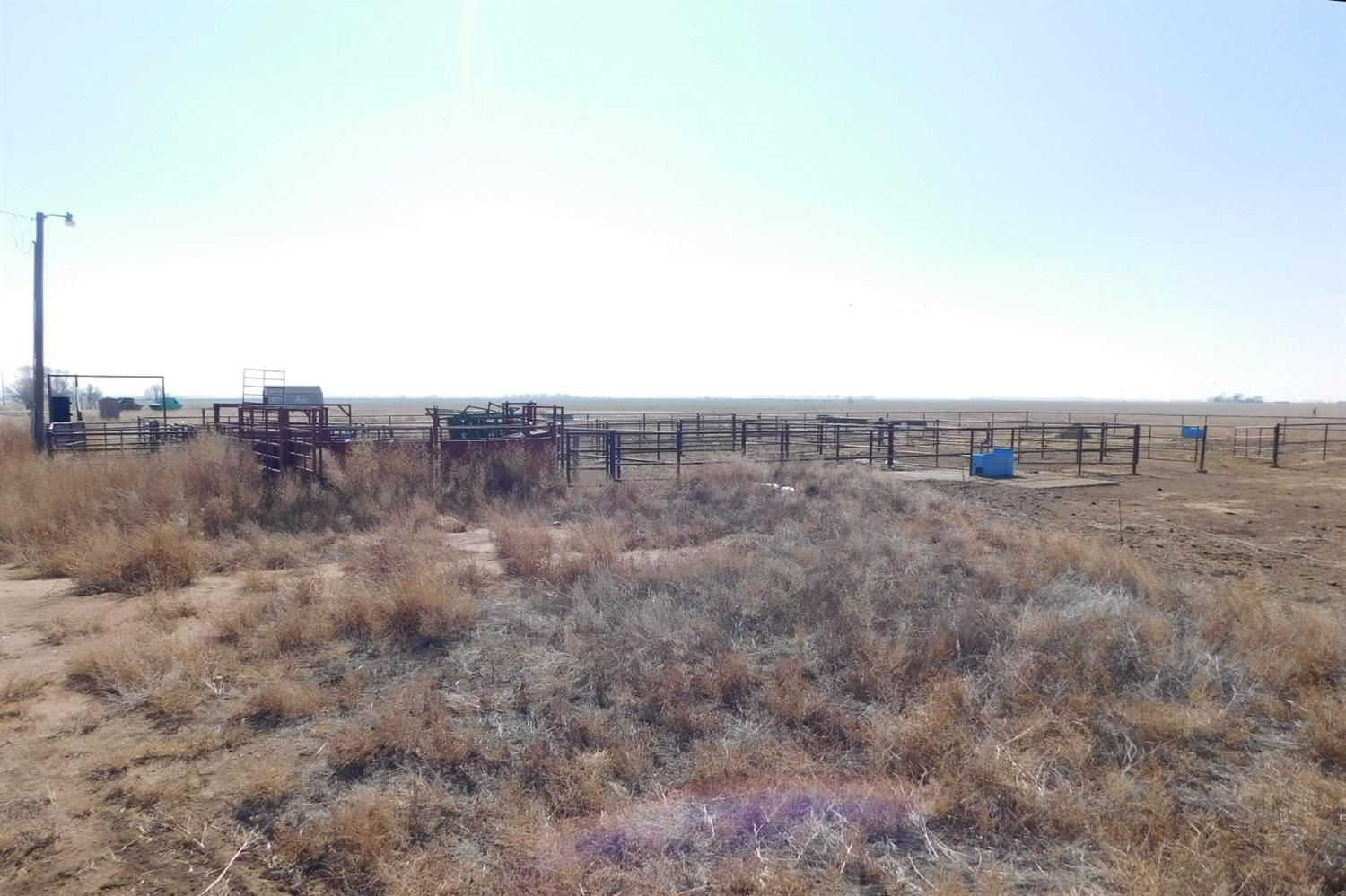 2070 County Road 1008 Muleshoe, TX 79347