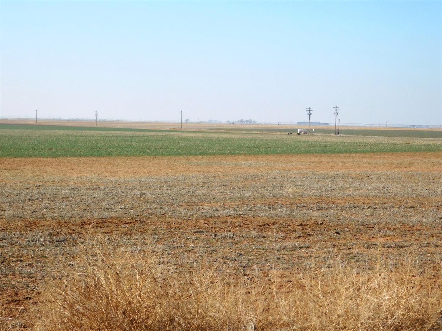2070 County Road 1008 Muleshoe, TX 79347