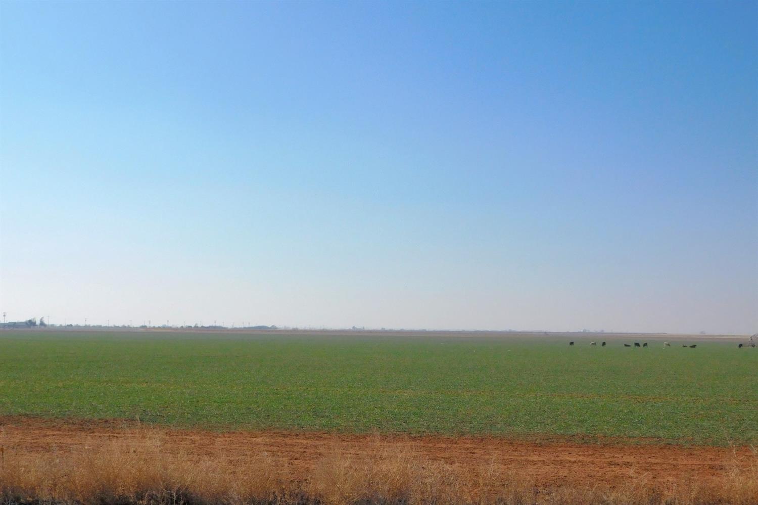 2070 County Road 1008 Muleshoe, TX 79347