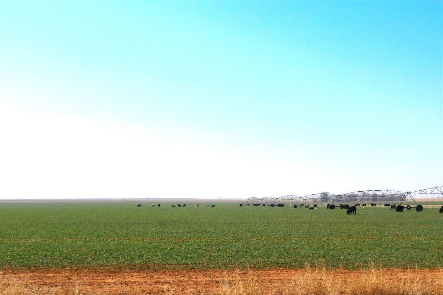 2070 County Road 1008 Muleshoe, TX 79347