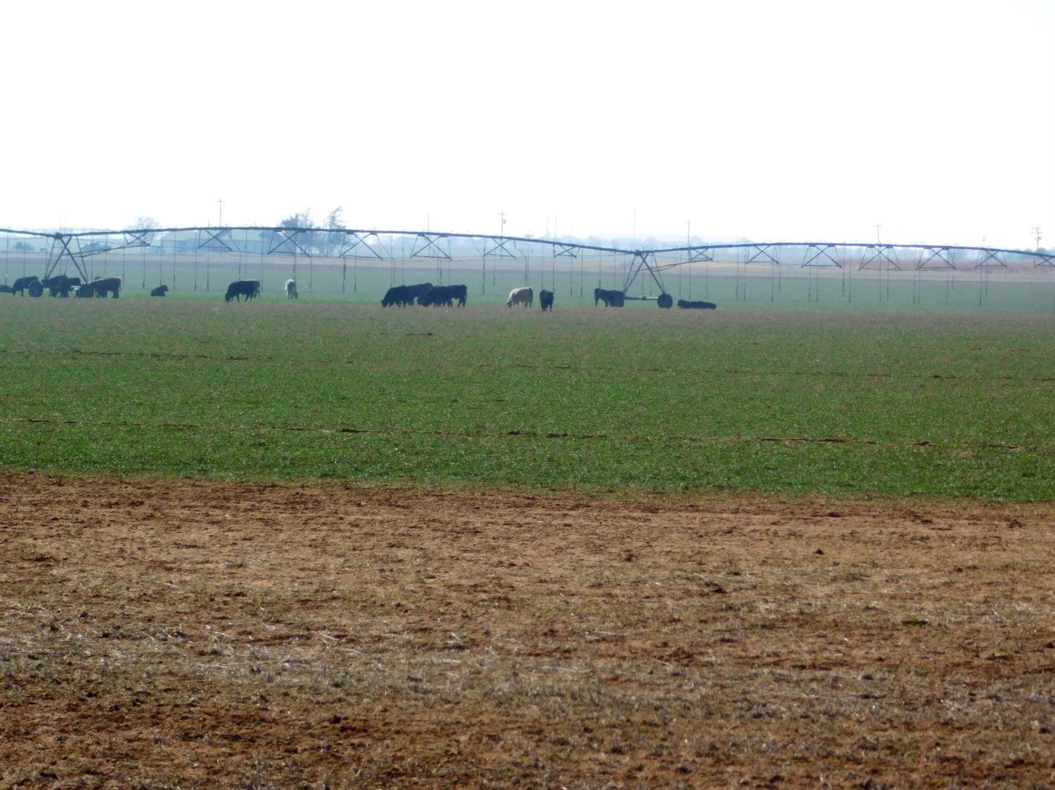 2070 County Road 1008 Muleshoe, TX 79347