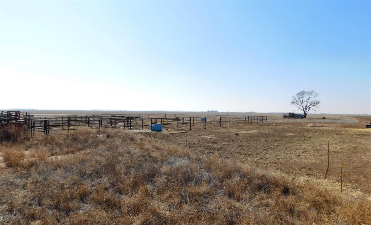 2070 County Road 1008 Muleshoe, TX 79347