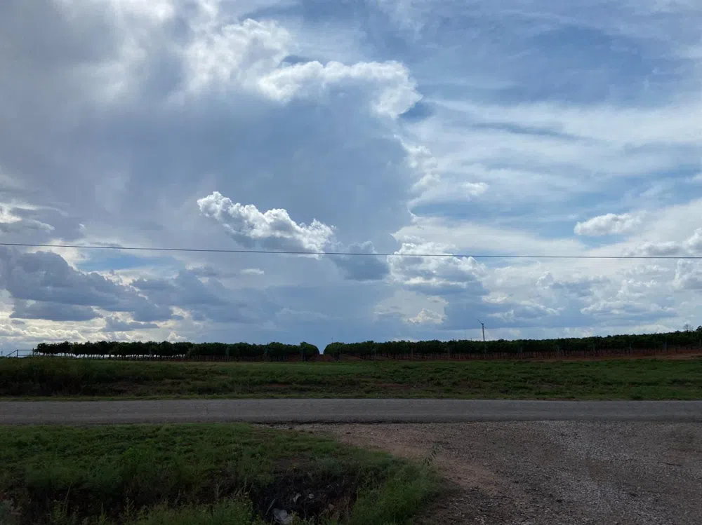 1718 Old Lamesa Highway Brownfield, TX 79316