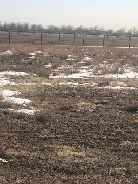 County Road 2700 Lubbock, TX 7904