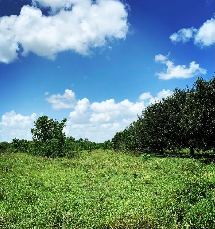 FM 1462 ROAD West Columbia, TX 77430