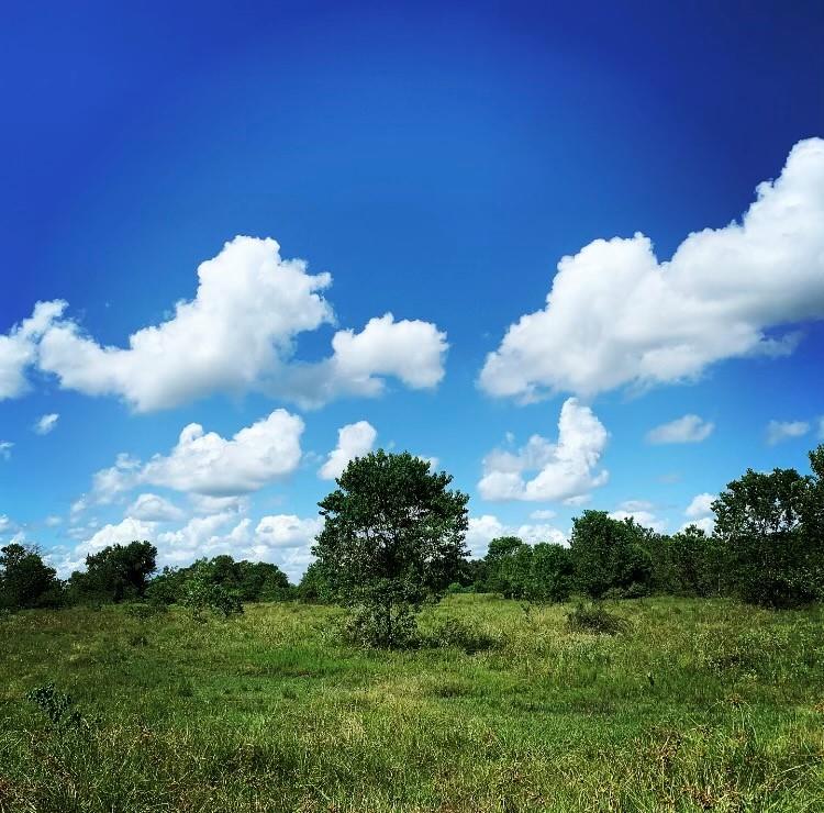 FM 1462 ROAD West Columbia, TX 77430