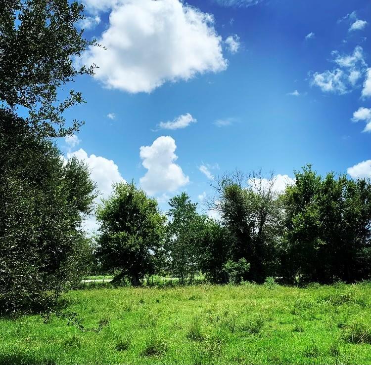 FM 1462 ROAD West Columbia, TX 77430
