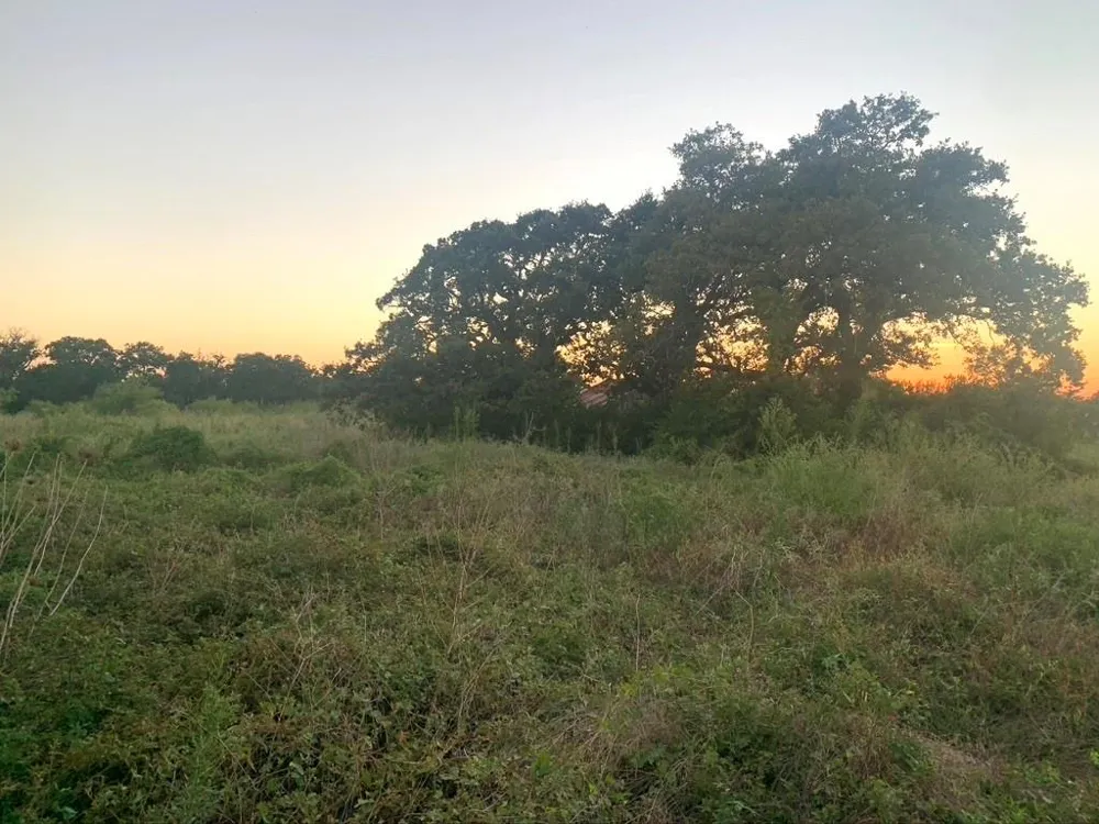 1866 E Washington Street Stephenville, TX 76401