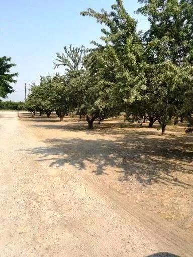 5201 Griffin Road Hughson, CA 95326