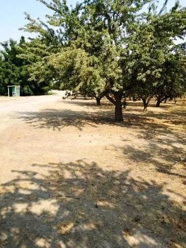 5201 Griffin Road Hughson, CA 95326