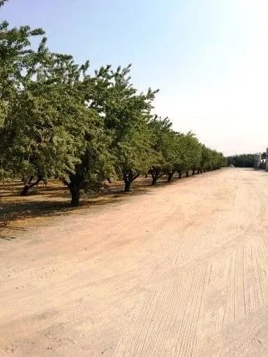 5201 Griffin Road Hughson, CA 95326