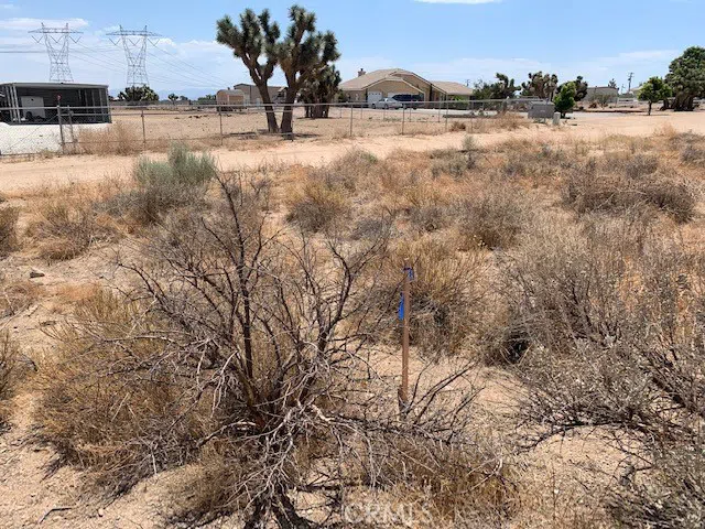 Tumbleweed Phelan, CA 92371