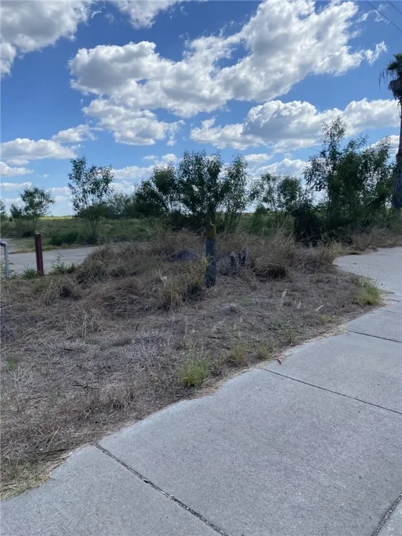 1701 S HWY. 281 Falfurrias, TX 78355