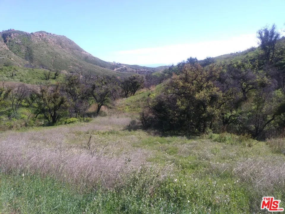 2517 Encinal Canyon Road Malibu, CA 90265