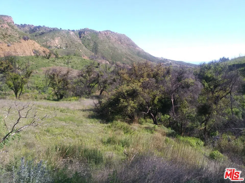 2517 Encinal Canyon Road Malibu, CA 90265