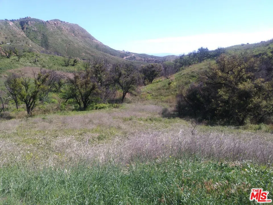 2517 Encinal Canyon Road Malibu, CA 90265