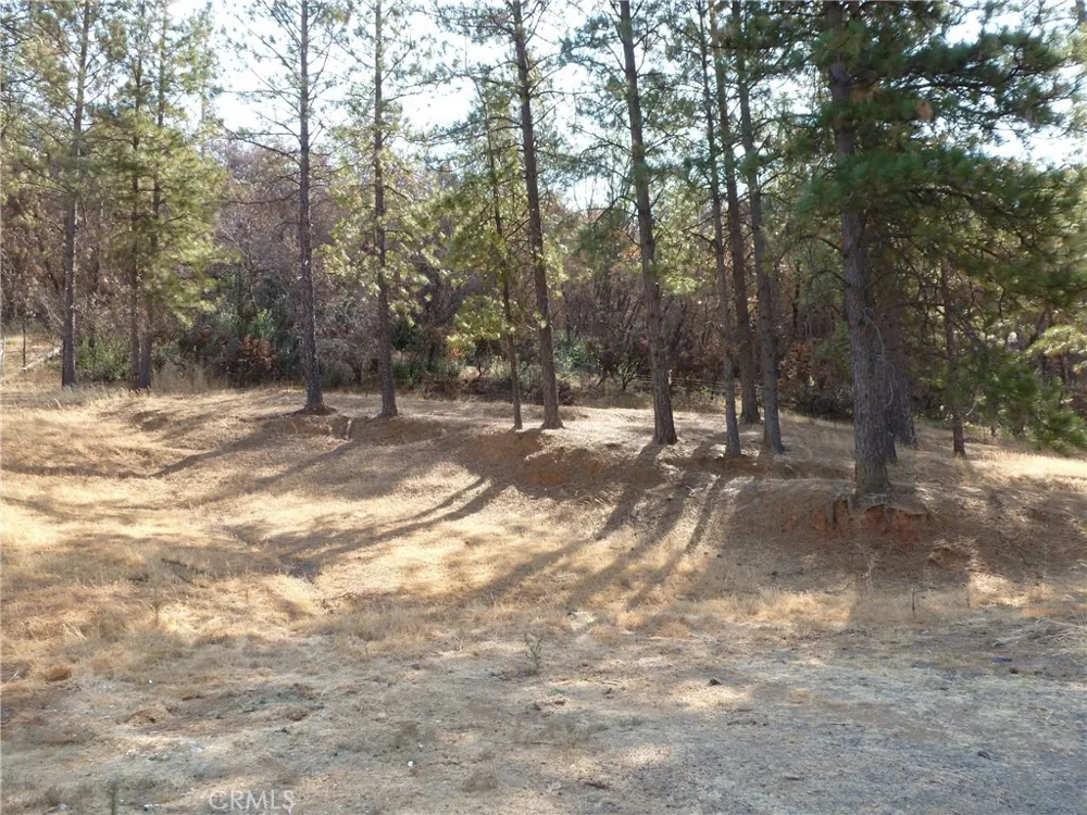 9890 Oro Quincy Highway Berry Creek, CA 95916