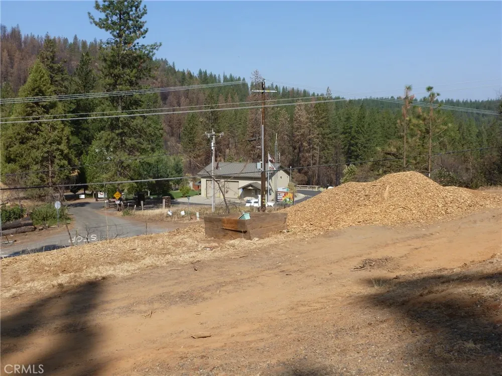 9890 Oro Quincy Highway Berry Creek, CA 95916