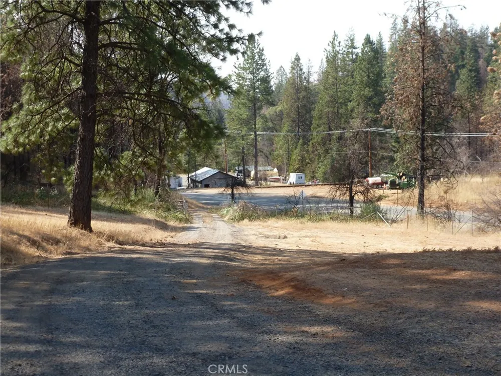 9890 Oro Quincy Highway Berry Creek, CA 95916