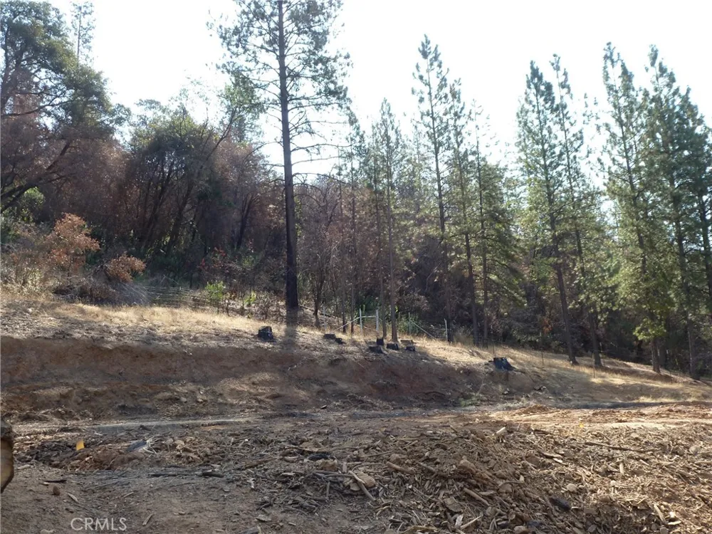 9890 Oro Quincy Highway Berry Creek, CA 95916