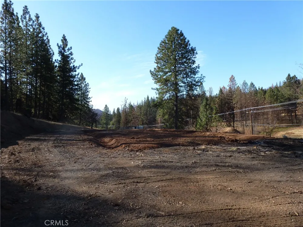 9890 Oro Quincy Highway Berry Creek, CA 95916