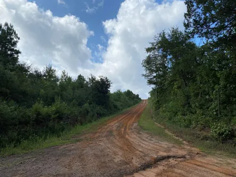 County Road 394