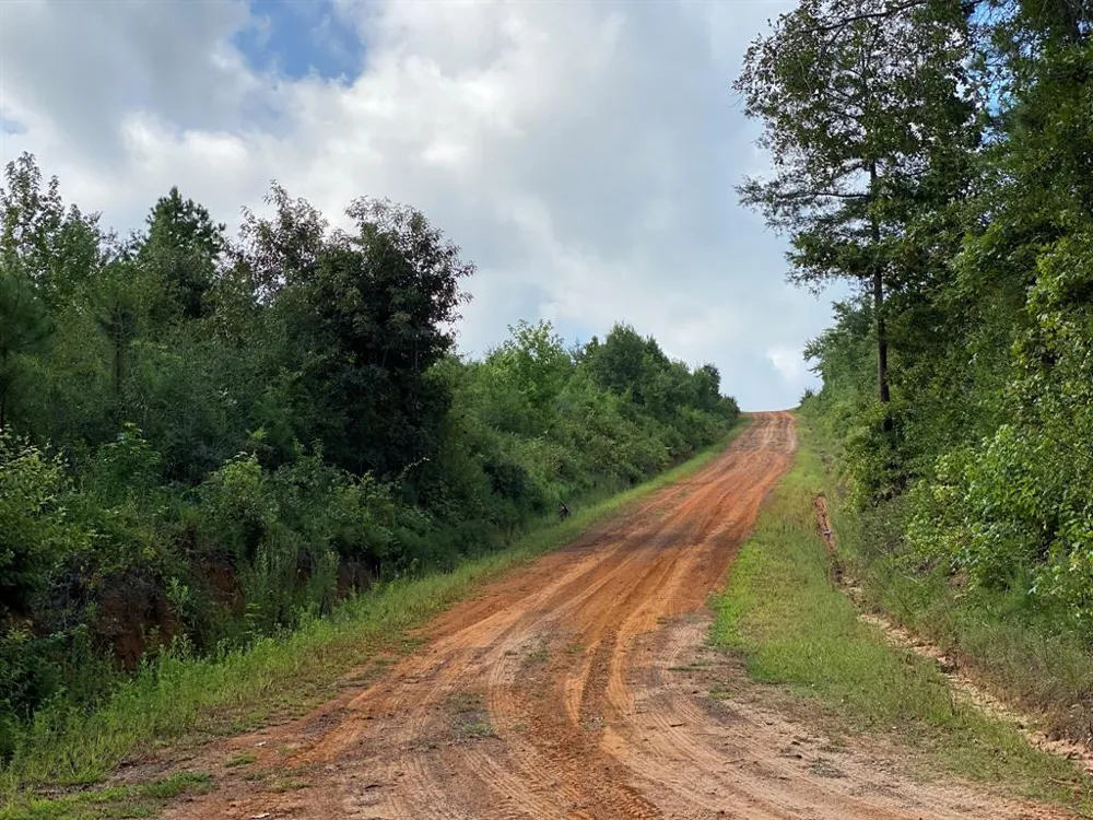 County Road 394 Tatum, TX 75691