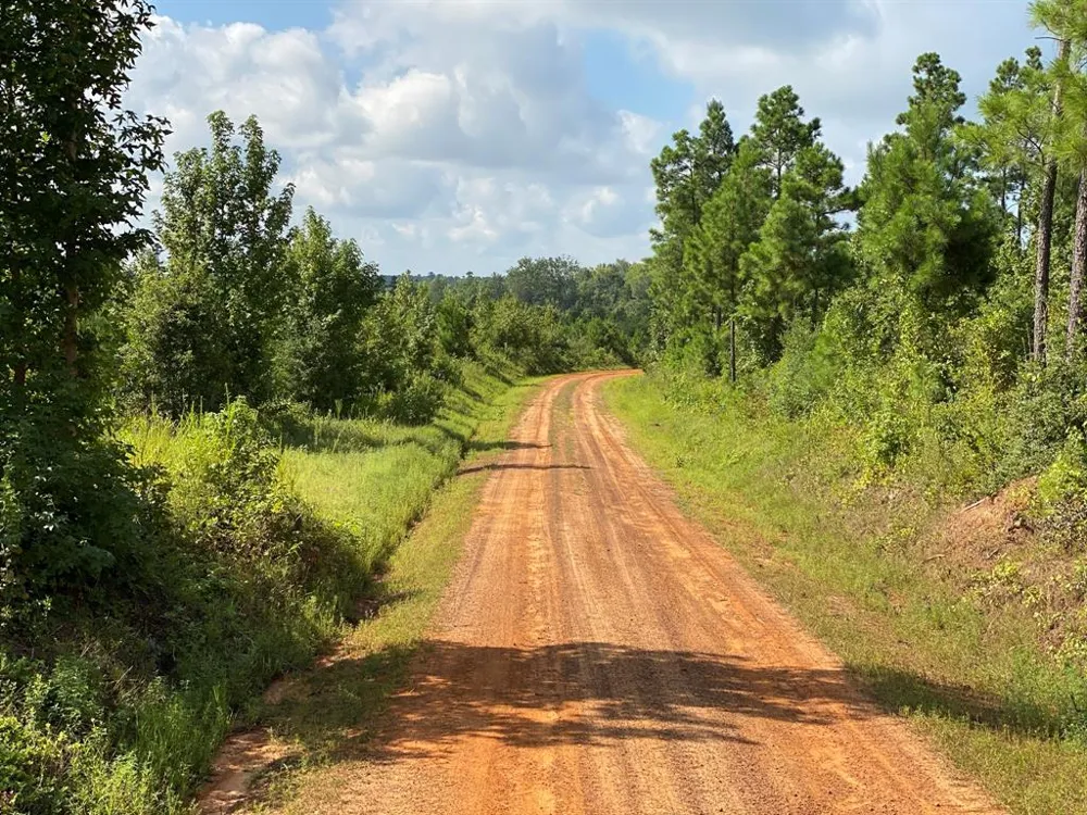 County Road 394 Tatum, TX 75691