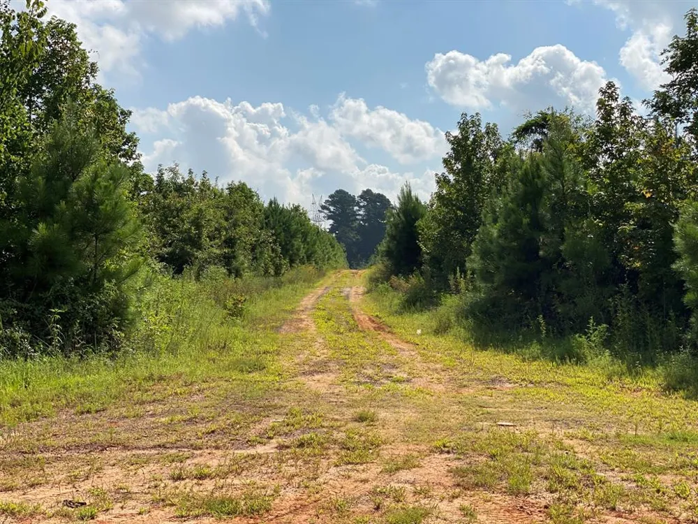 County Road 394 Tatum, TX 75691