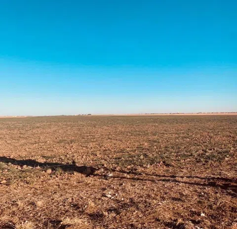 8706 N Farm Road 1729