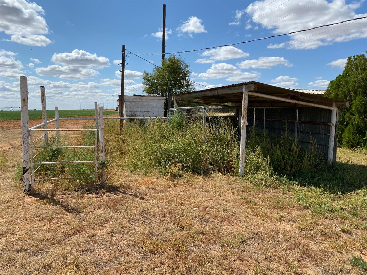 1101 S 15th Street Lamesa, TX 79331