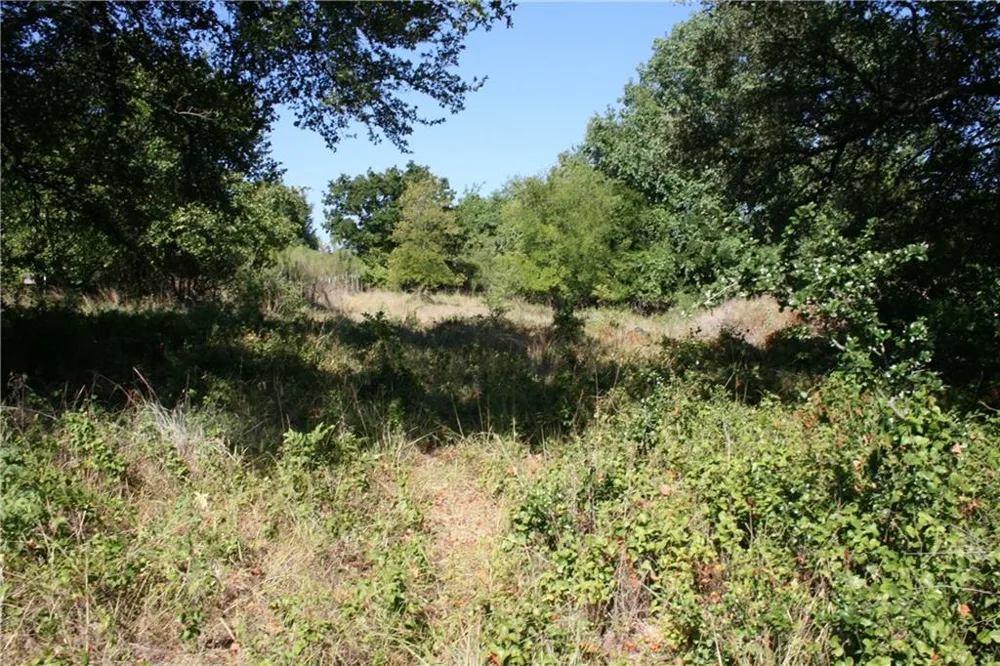2001 Santa Fe Drive Weatherford, TX 76086