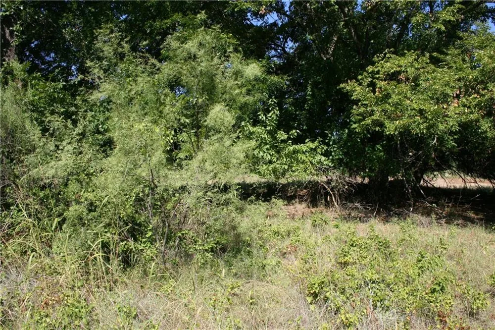 2001 Santa Fe Drive Weatherford, TX 76086