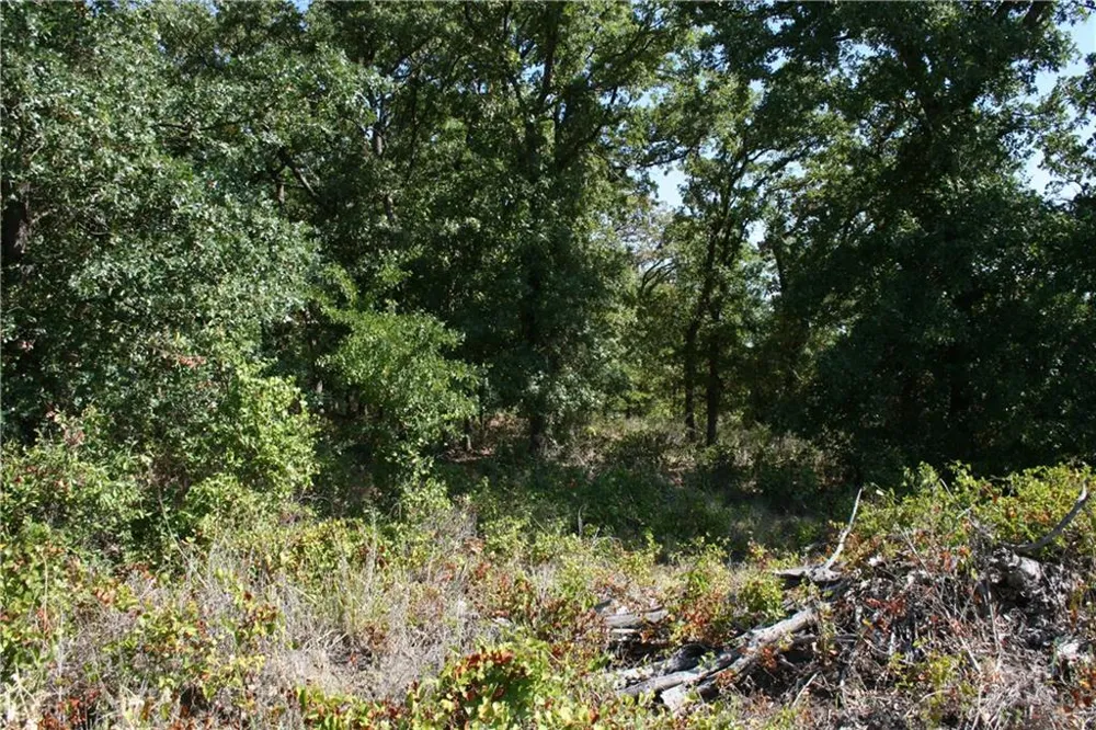 2001 Santa Fe Drive Weatherford, TX 76086