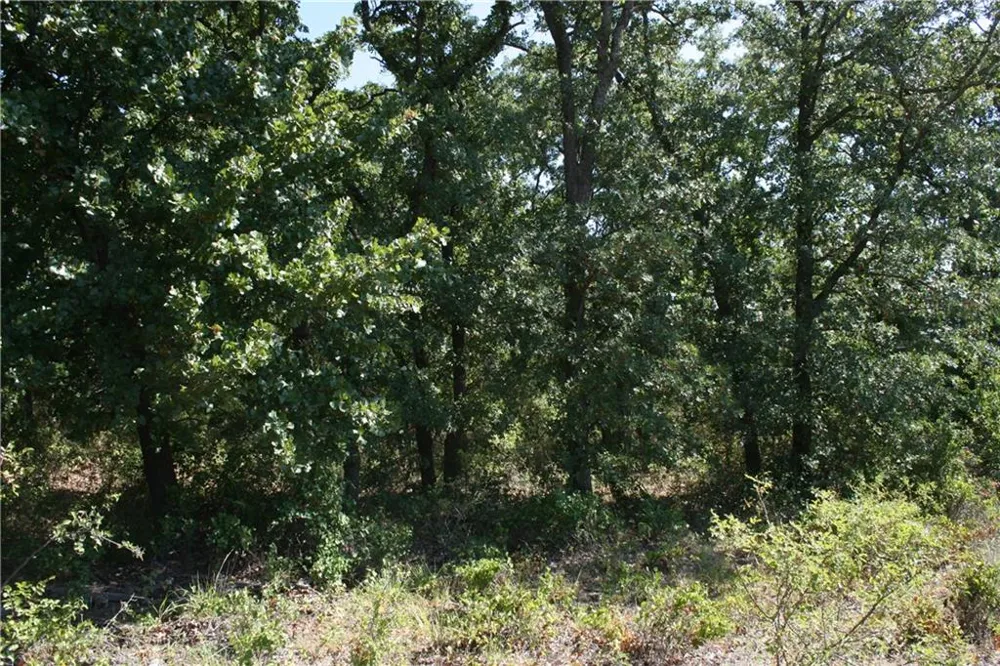 2001 Santa Fe Drive Weatherford, TX 76086