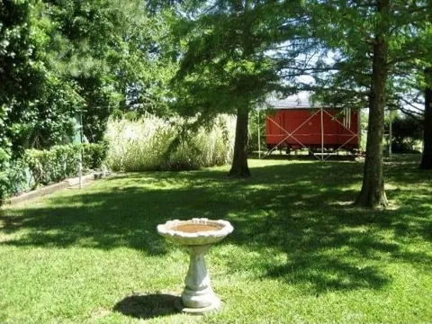 5544 Farm Road 905