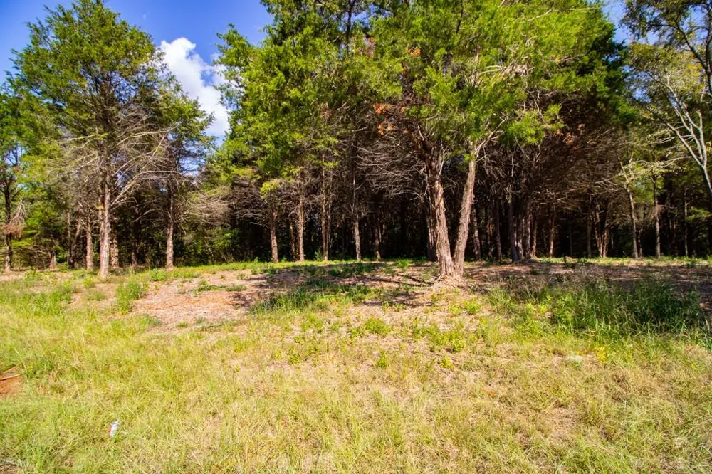 CR 4173 Tyler, TX 75704