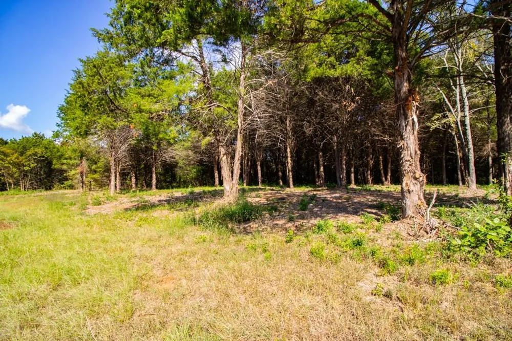 CR 4173 Tyler, TX 75704