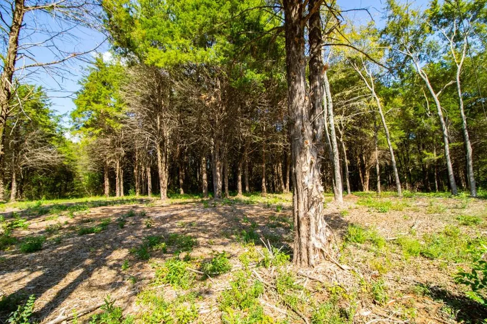 CR 4173 Tyler, TX 75704