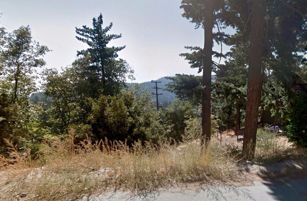 Pine Twin Peaks, CA 92391