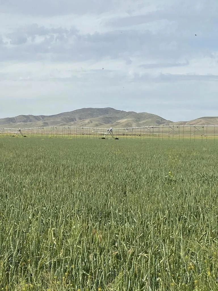 Panoche Road Pcl 1 Road Other, CA 95043